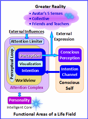 Functional Areas of a Life Field